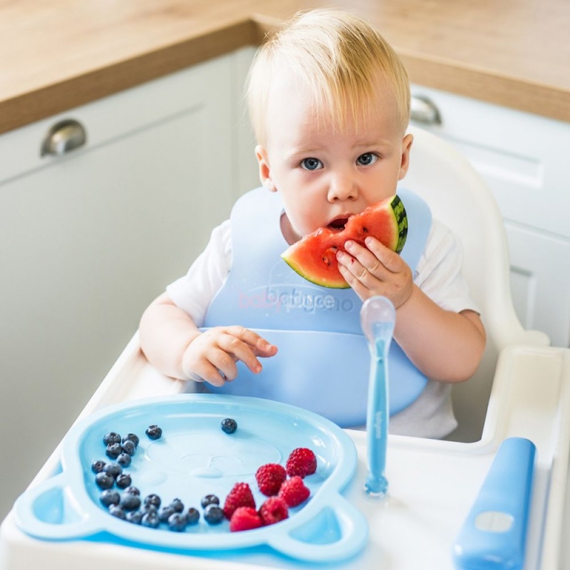 Dětská lžička BABYONO silikonová s přísavkou a obalem 6 m+ modrá CAT.NO 1462/01